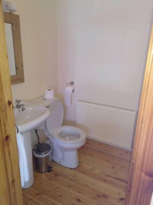 Townhouse 2 Barrow Lane Villa Carlow Dış mekan fotoğraf