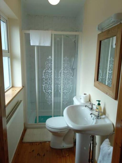 Townhouse 2 Barrow Lane Villa Carlow Dış mekan fotoğraf