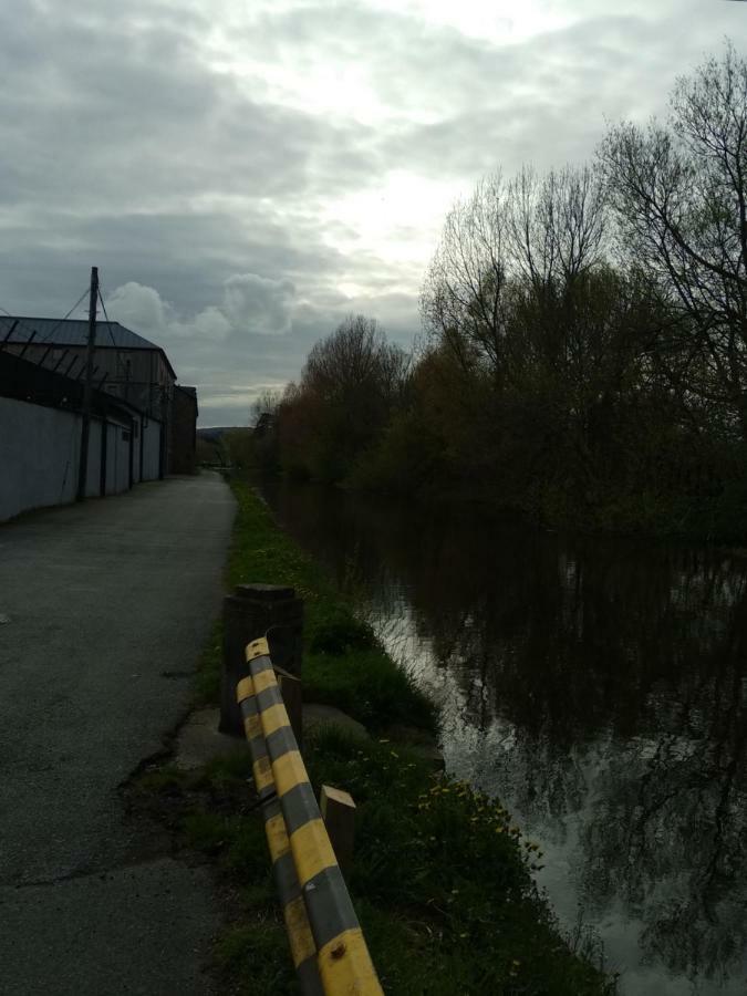 Townhouse 2 Barrow Lane Villa Carlow Dış mekan fotoğraf